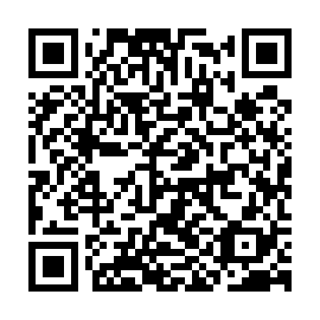 QR code for CII528
