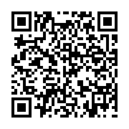 QR code for plate CKM-113