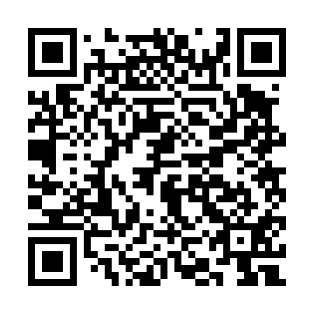 QR code for CKR411