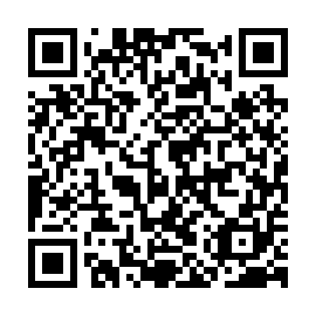 QR code for plate CMU-250
