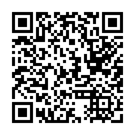 QR code for CQE-313