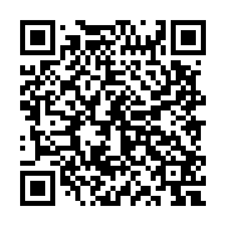 QR code for plate CZH-502