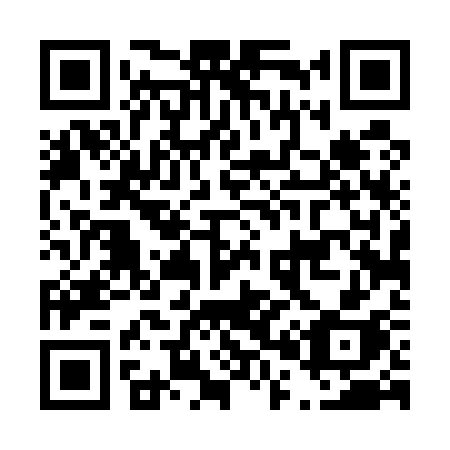 QR code for D04-53H