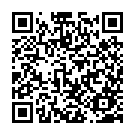 QR code for D1920N