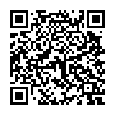 QR code for D2700S