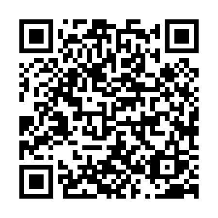 QR code for D2803S