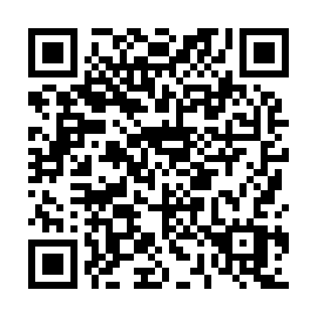 QR code for D2893W