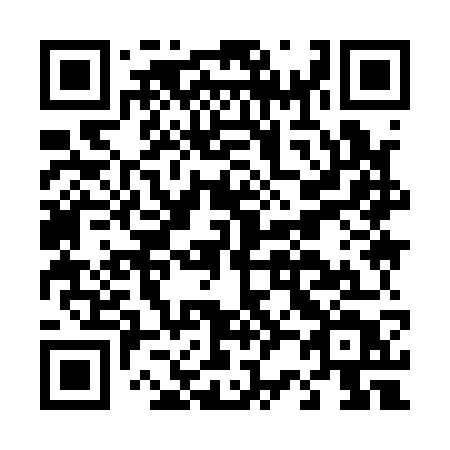 QR code for D2917T