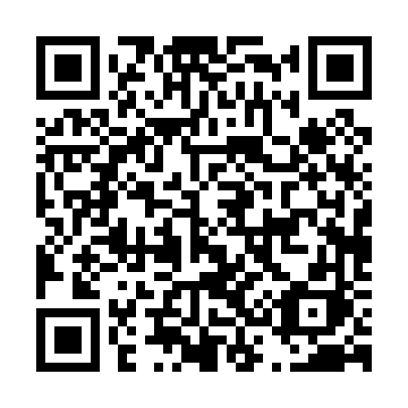 QR code for D3006H