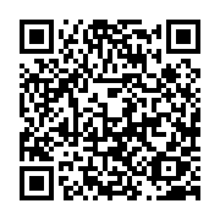 QR code for D3810X