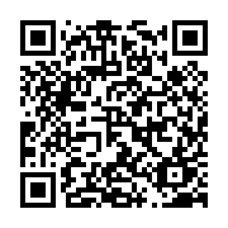 QR code for plate D49-01T