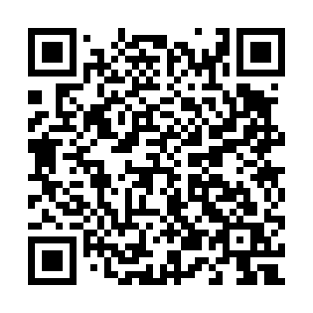 QR code for plate D53-41S