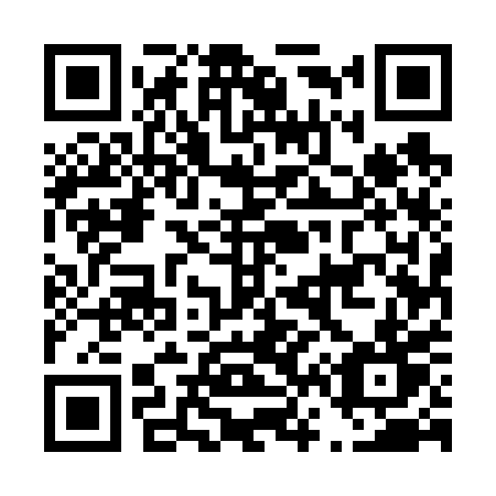QR code for D6560T