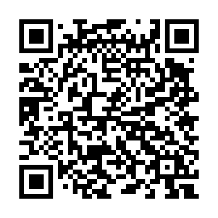 QR code for D85-40X