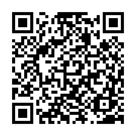 QR code for D9506S