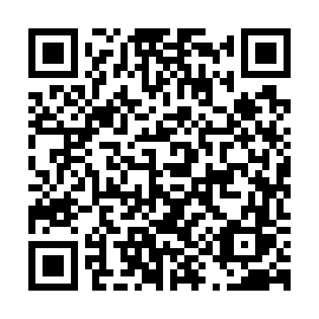 QR code for D9976S
