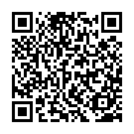 QR code for plate DAT-540
