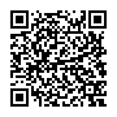 QR code for DAV934