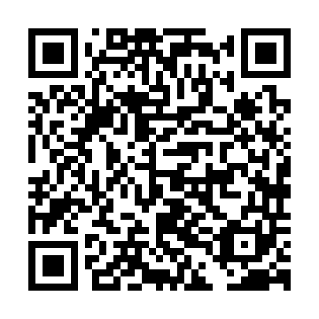 QR code for plate DDH-341