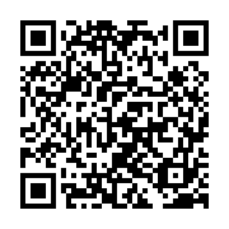 QR code for DDN173