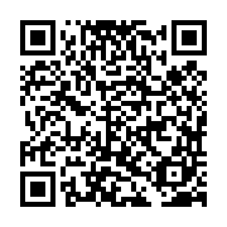 QR code for plate DDZ-440