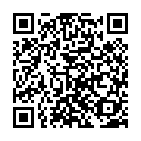 QR code for DFM069