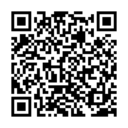 QR code for plate DFM-833