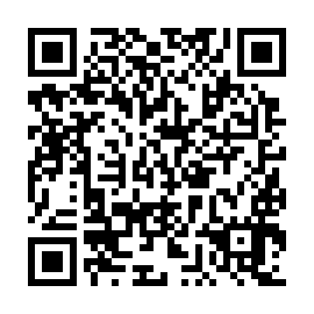 QR code for plate DGF-397