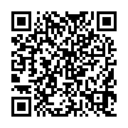 QR code for plate DGQ-950