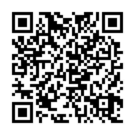QR code for plate DGZ-328