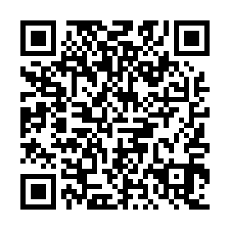 QR code for plate DHD-011
