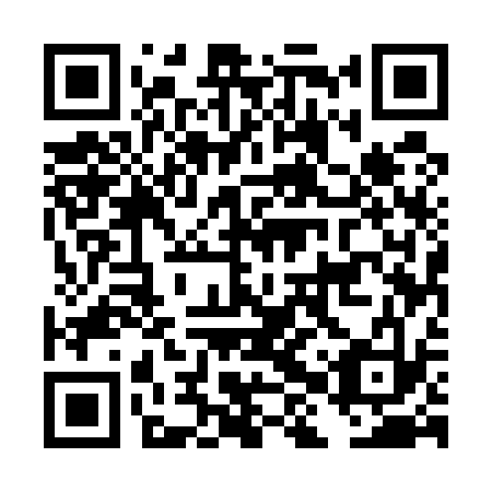 QR code for plate DHU-533