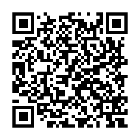 QR code for DHX-919