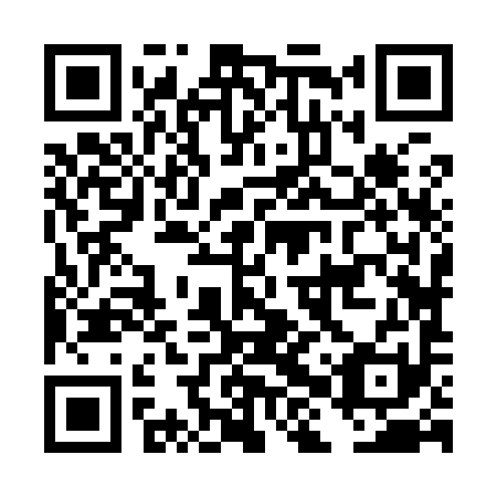 QR code for DHZ991