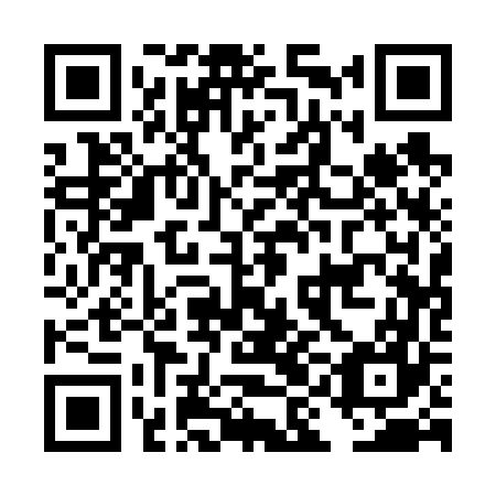 QR code for plate DIA-667