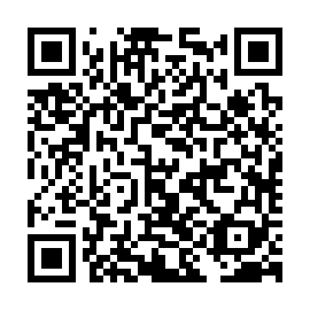 QR code for plate DIB-369