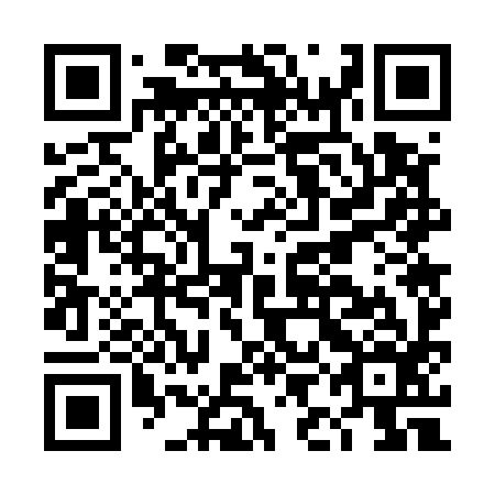 QR code for plate DIG-596