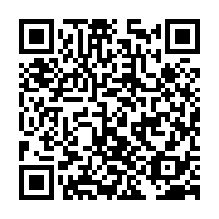 QR code for plate DII-838