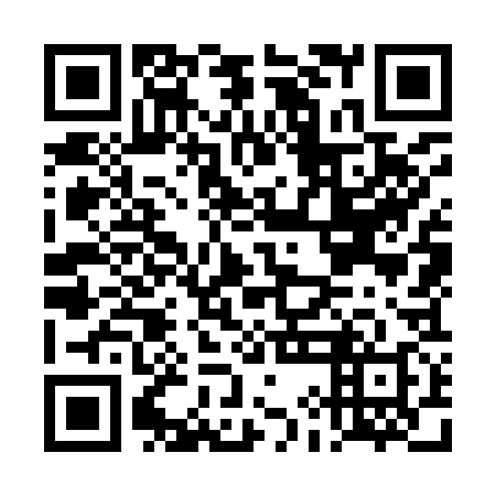 QR code for plate DIO-938