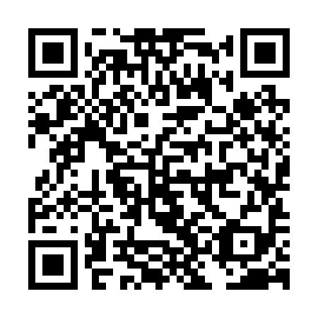 QR code for plate DKK-299