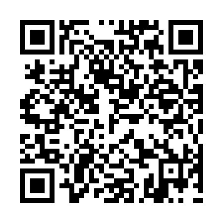 QR code for plate DKM-390