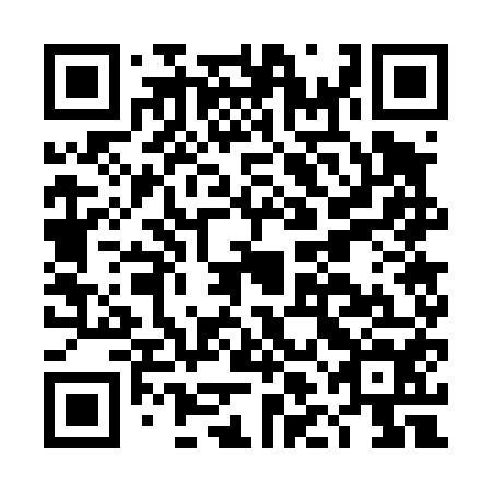 QR code for plate DLG-454