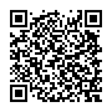 QR code for plate DME-490