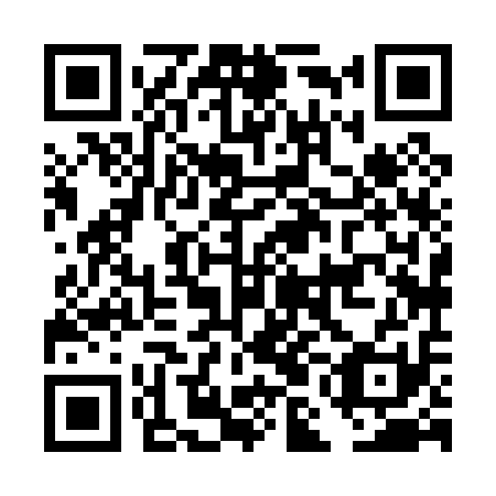 QR code for plate DMH-011