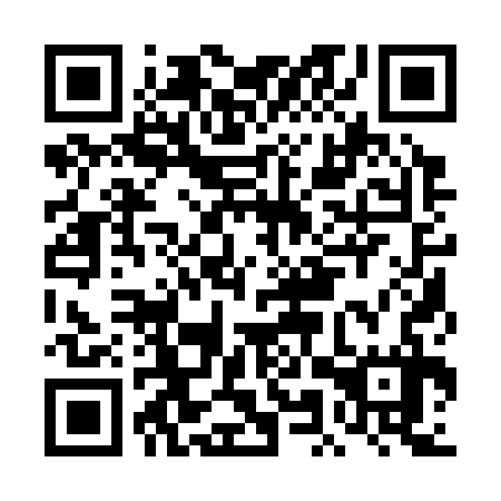 QR code for plate DMQ-337