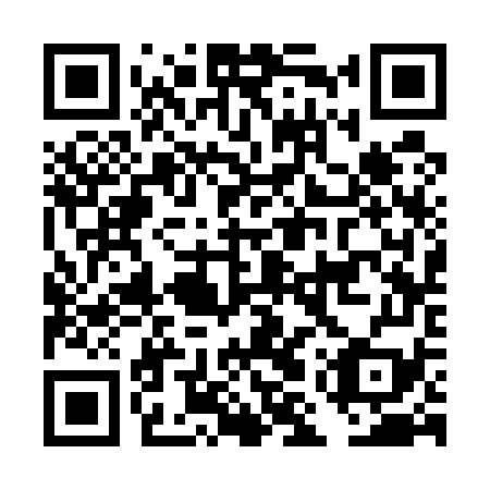 QR code for DMS-579