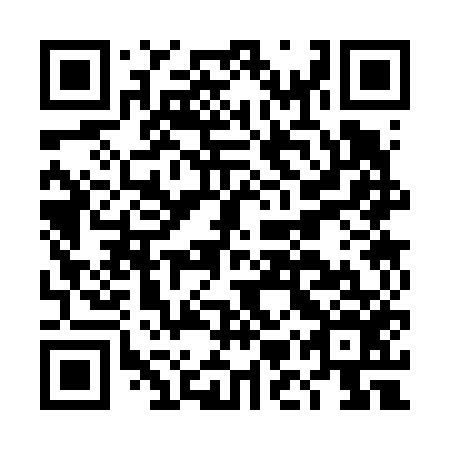 QR code for plate DMS-656