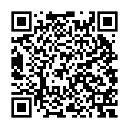 QR code for DNV-210