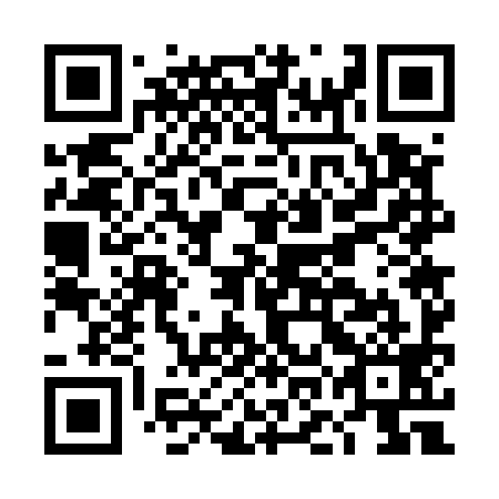QR code for plate DOG-599