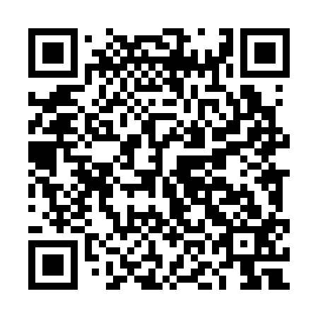 QR code for DOL-313
